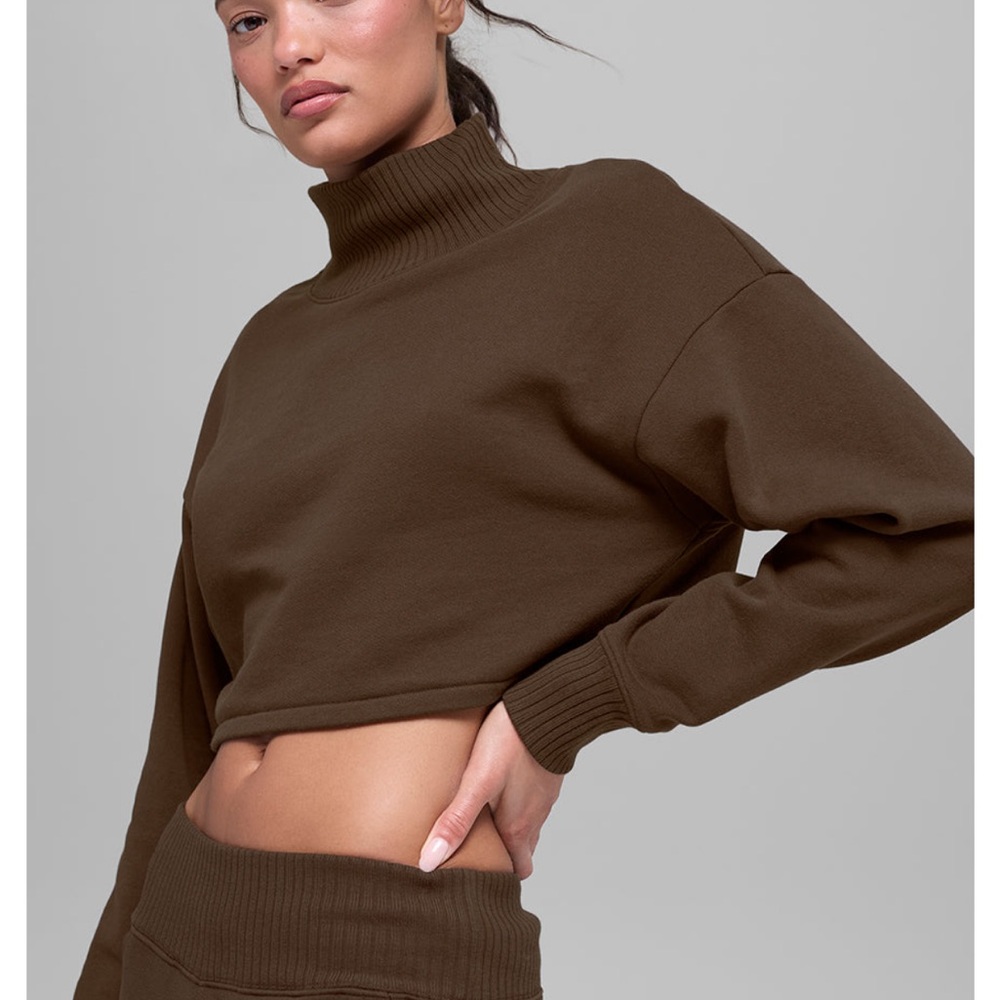 ALO Yoga Cropped Turtleneck Sweater - Brown